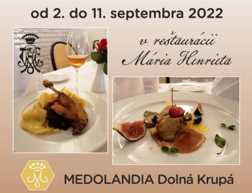 Kačacie hody v Medolandii