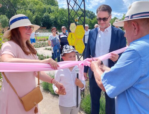 Ružiarska sezóna v Medolandii je otvorená